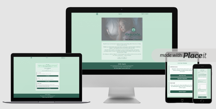 Regulate website home page mock-up